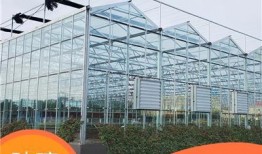 热点大棚爆料视频播放,视频播放背后的惊人真相