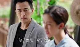 全员吃瓜电视剧免费观看